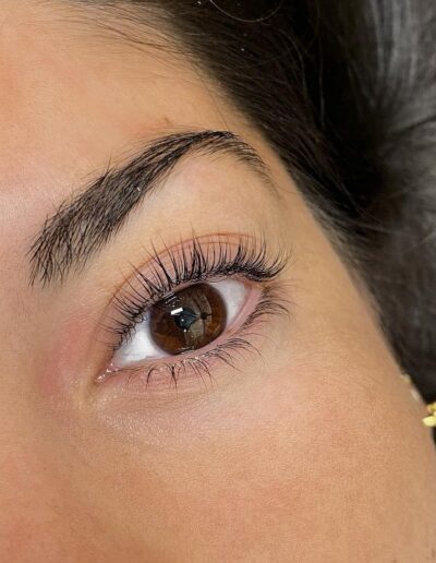 Galerie Mayerlis Eyelash Fontaine Leveque 27